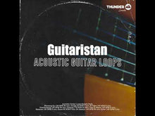 Load and play video in Gallery viewer, Guitaristan Acoustic Guitar Loops

